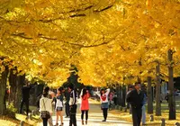 学びの森の写真・動画_image_127948