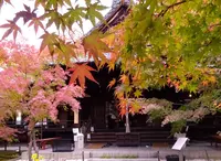 勝林寺の写真・動画_image_460908