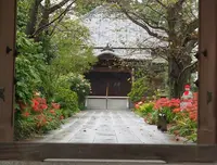 常楽寺の写真・動画_image_197224