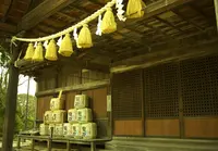 賀茂神社の写真・動画_image_160790