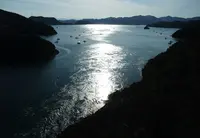 堀越海峡の写真・動画_image_21256
