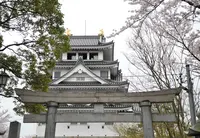豊国神社の写真・動画_image_27066