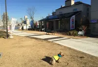 豊洲まちなみ公園の写真・動画_image_65366
