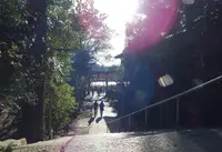 宇治神社の写真・動画_image_122254