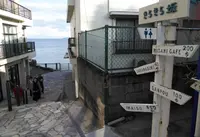 きらきら坂の写真・動画_image_574829