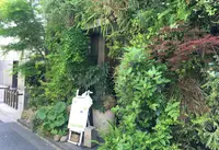 風花の写真・動画_image_656548