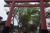 氷川神社裏参道の芭蕉句碑の写真・動画_image_27195