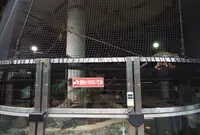 八木山動物公園フジサキの杜の写真・動画_image_44041