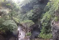 ゆとりの湯裏見ヶ滝温泉の写真・動画_image_53361