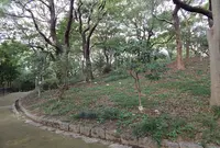 茶臼山（天王寺公園）の写真・動画_image_94792