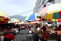 チャガルチ市場/チャガルチシジャン/자갈치시장の写真・動画_image_1081626
