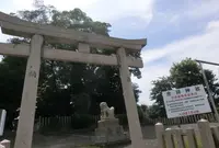忠岡神社の写真・動画_image_148492