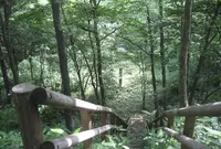 日本中央の碑歴史公園の写真・動画_image_191241