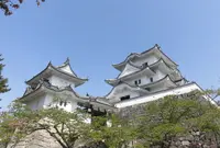 上野城の写真・動画_image_234234