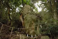 恵曇神社の写真・動画_image_251959