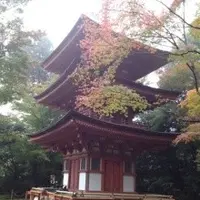 浄瑠璃寺の写真・動画_image_16795