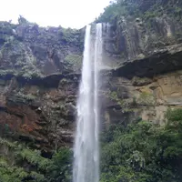 ピナイサーラの滝の写真・動画_image_35820