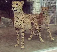 東京都多摩動物公園の写真・動画_image_16479