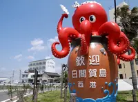 日間賀島西港の写真・動画_image_132033