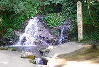 飛龍の滝の写真・動画_image_38107