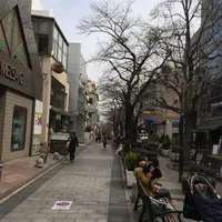 マリクレール通りの写真・動画_image_131084