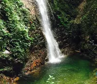 払沢の滝の写真・動画_image_145201