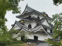 彦根城の写真・動画_image_269223