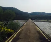 佐田沈下橋の写真・動画_image_133733