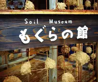 Soil Museum もぐらの館の写真・動画_image_146598