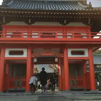 護国寺の写真・動画_image_211237