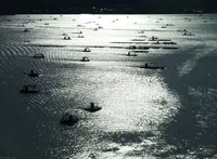 堀越海峡の写真・動画_image_21259