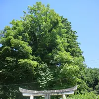 稲荷神社の写真・動画_image_224446