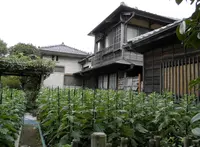 山本亭庭園の写真・動画_image_45529