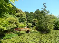 大原野神社の写真・動画_image_76952