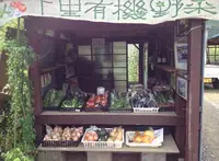 下里有機野菜直売所の写真・動画_image_137266