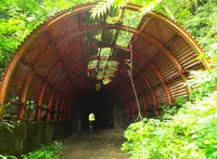頭川トンネルの写真・動画_image_188040