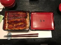 うなぎ藤田 浜松駅前店の写真・動画_image_207219