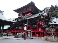 静岡浅間神社の写真・動画_image_544905