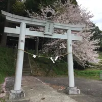 八幡神社から見える 桜並木の写真・動画_image_174385