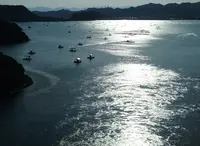 堀越海峡の写真・動画_image_127614