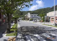 小笠原　島のメインストリートの写真・動画_image_175625