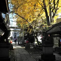 浅間神社の写真・動画_image_23827