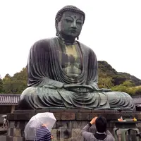 鎌倉大仏（高徳院）の写真・動画_image_138453
