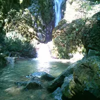 県立国見の森公園の写真・動画_image_61725