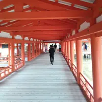厳島神社の写真・動画_image_30290