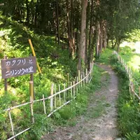 八宮神社の写真・動画_image_33284