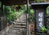 禅林寺の写真・動画_image_132467