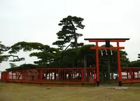 唐崎神社の写真・動画_image_176229