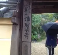 浄瑠璃寺の写真・動画_image_16791