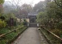 浄瑠璃寺の写真・動画_image_16787